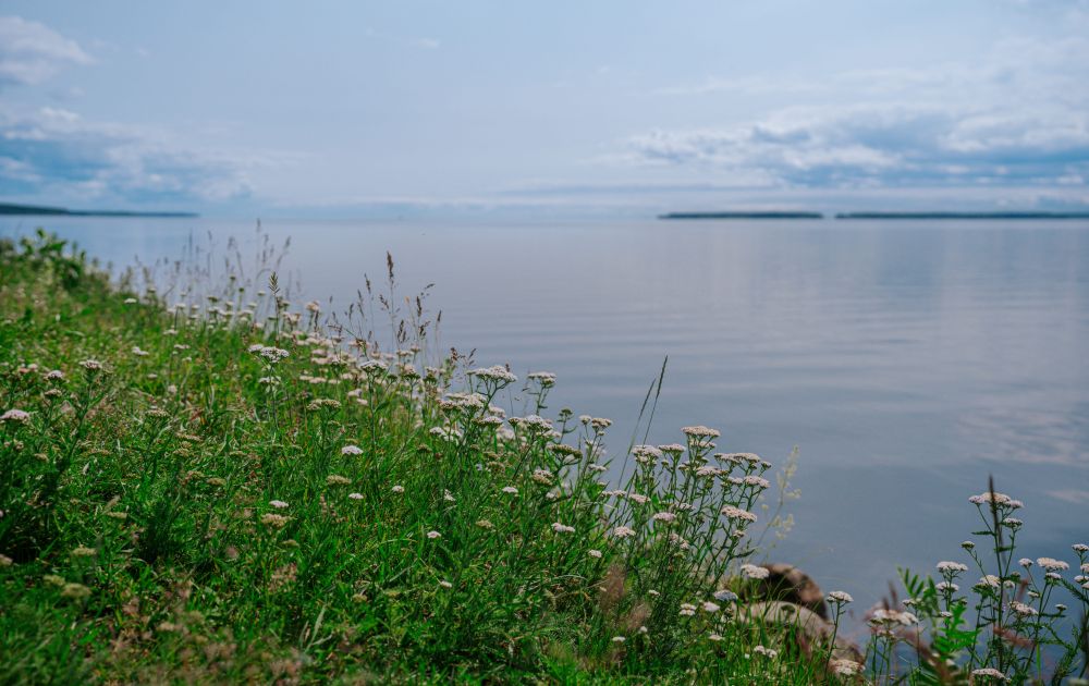 gorodische
