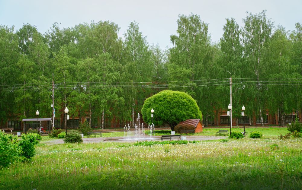 06.25_vidy_1