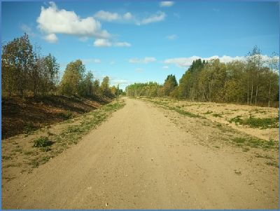 Парки в лесу: велосипедная трасса в Национальном парке 