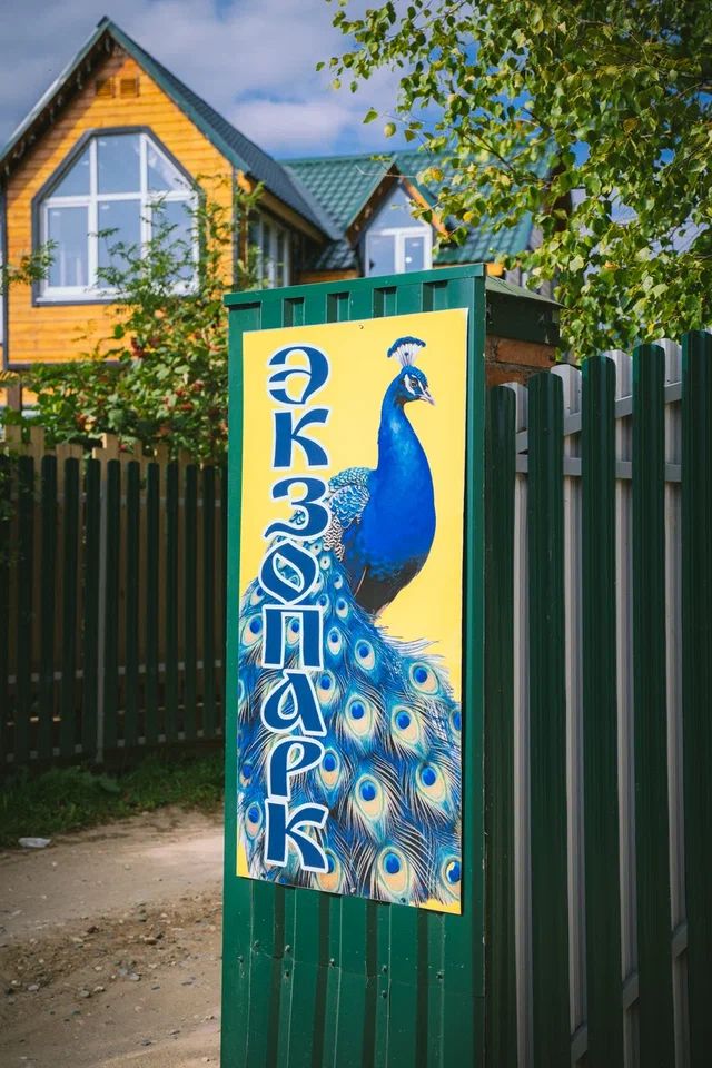 База отдыха Высоковское | Экзопарк