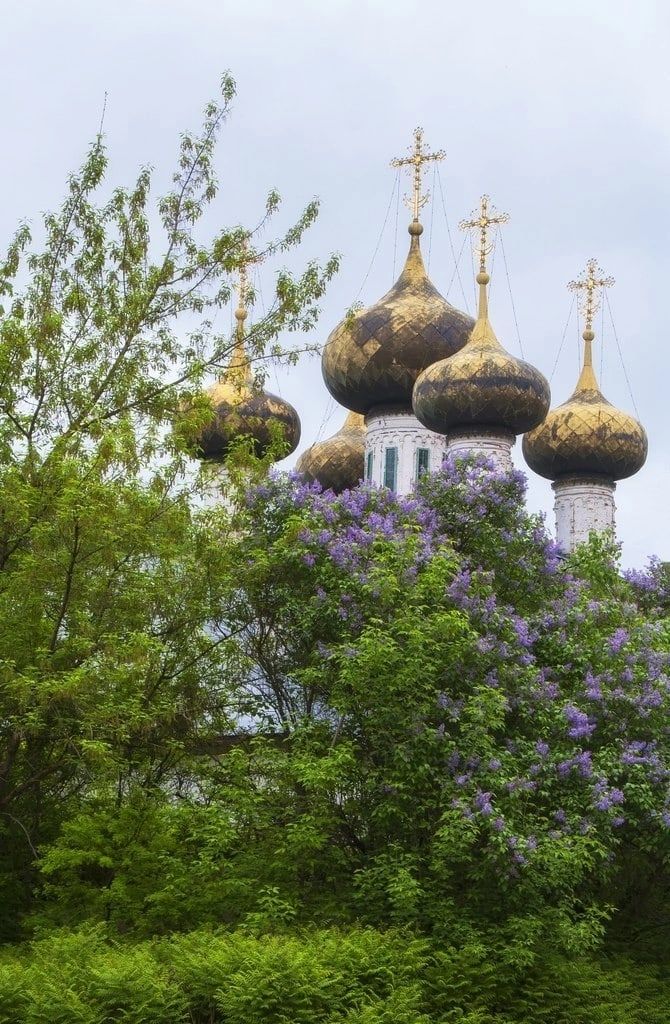 Устюженский краеведческий музей