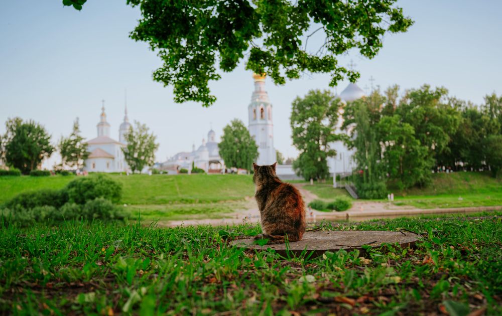 07.25_leto_v_gorode