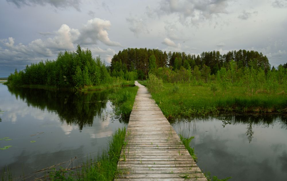 0625_bazi